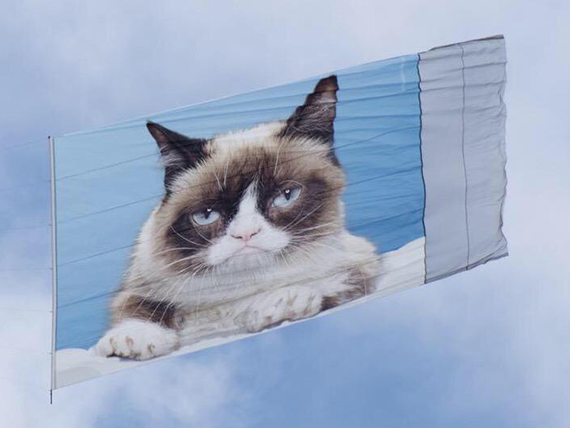 Grumpy Cat Closeup Aerial Billboard